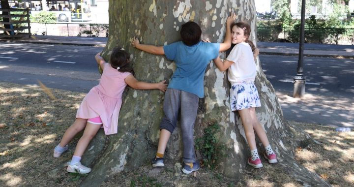 a group of children climbing a tree